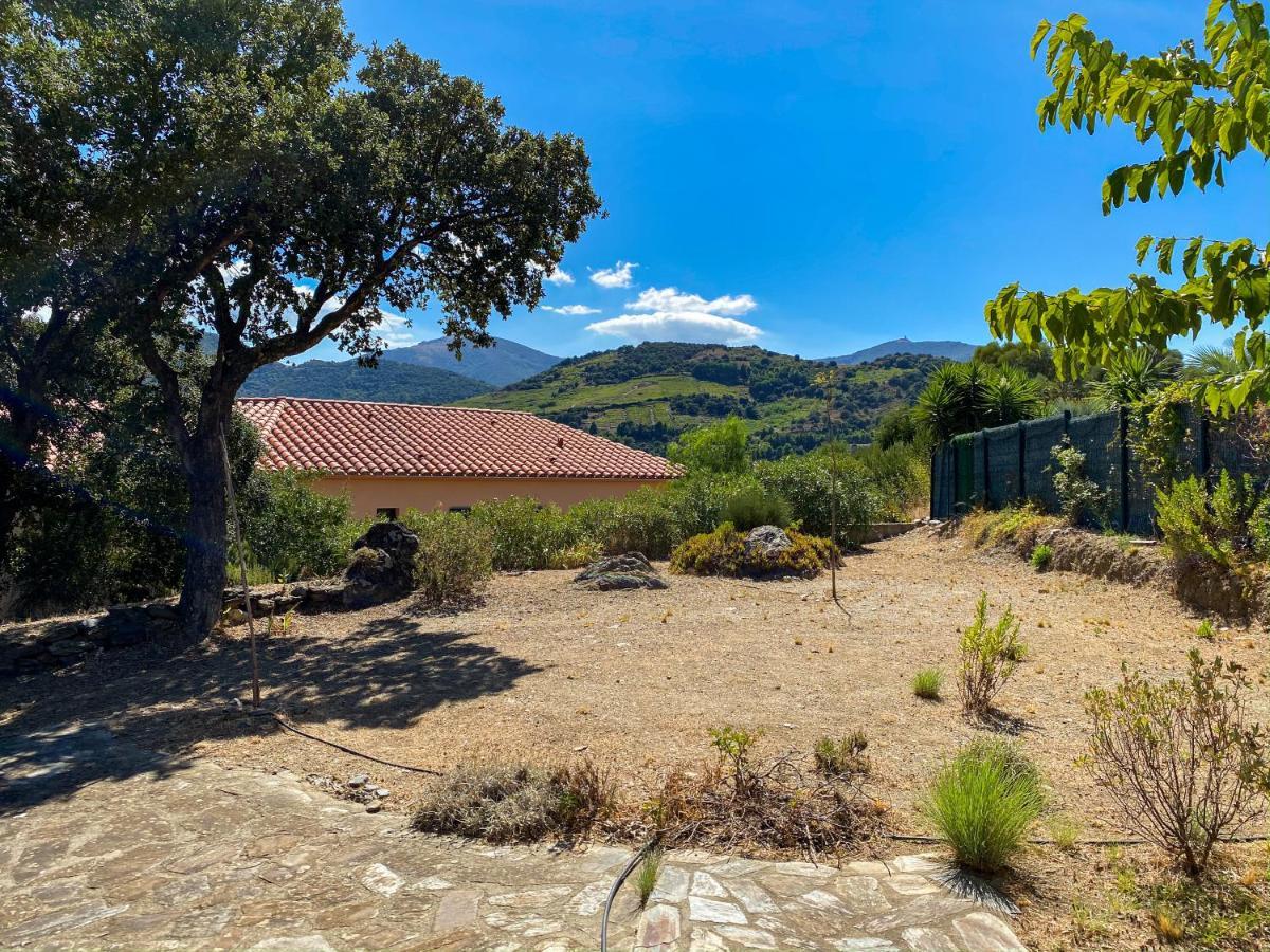 4Amb2 Villa De Caractere Avec Piscine Collective Collioure Luaran gambar